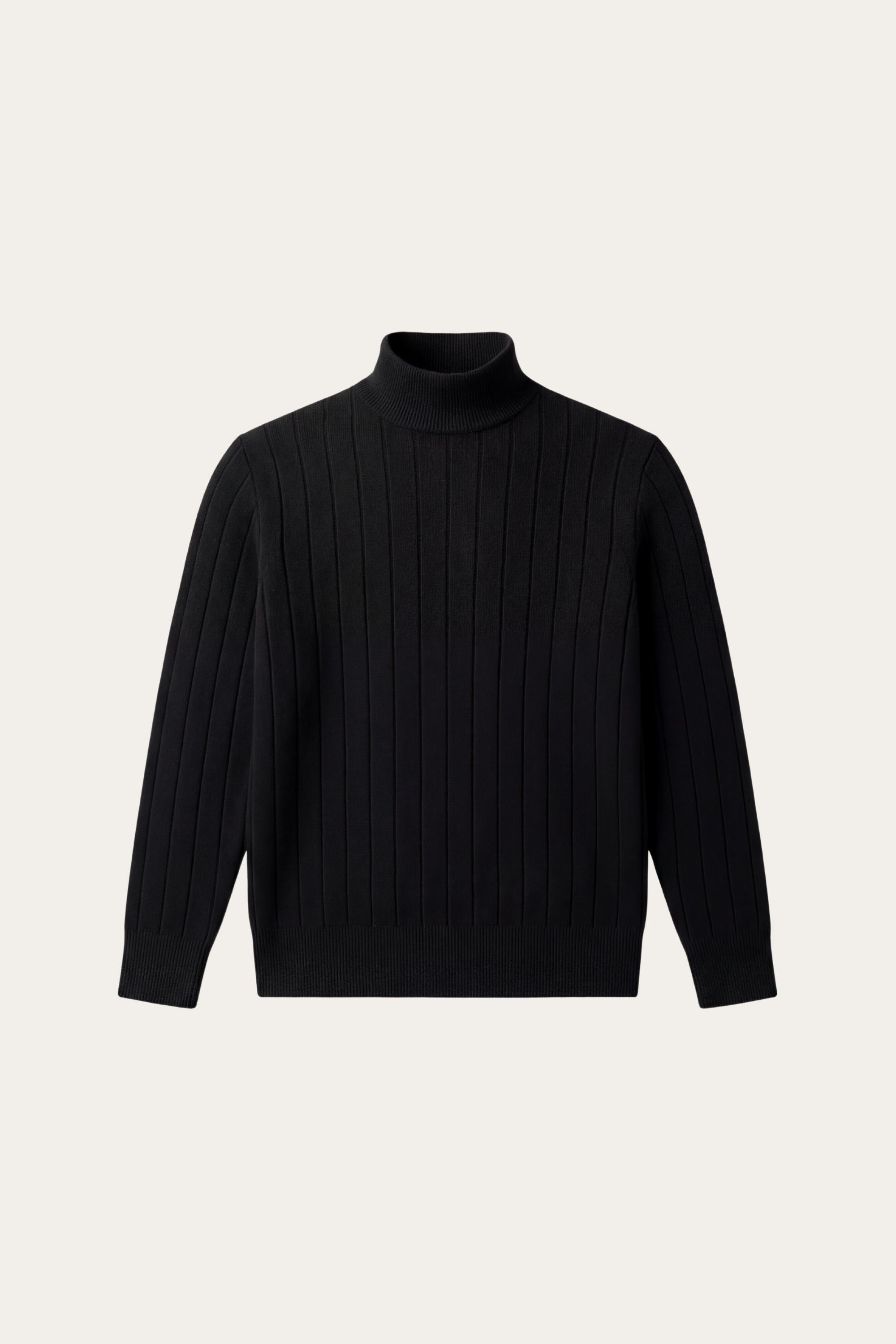 Arleno Turtleneck Black